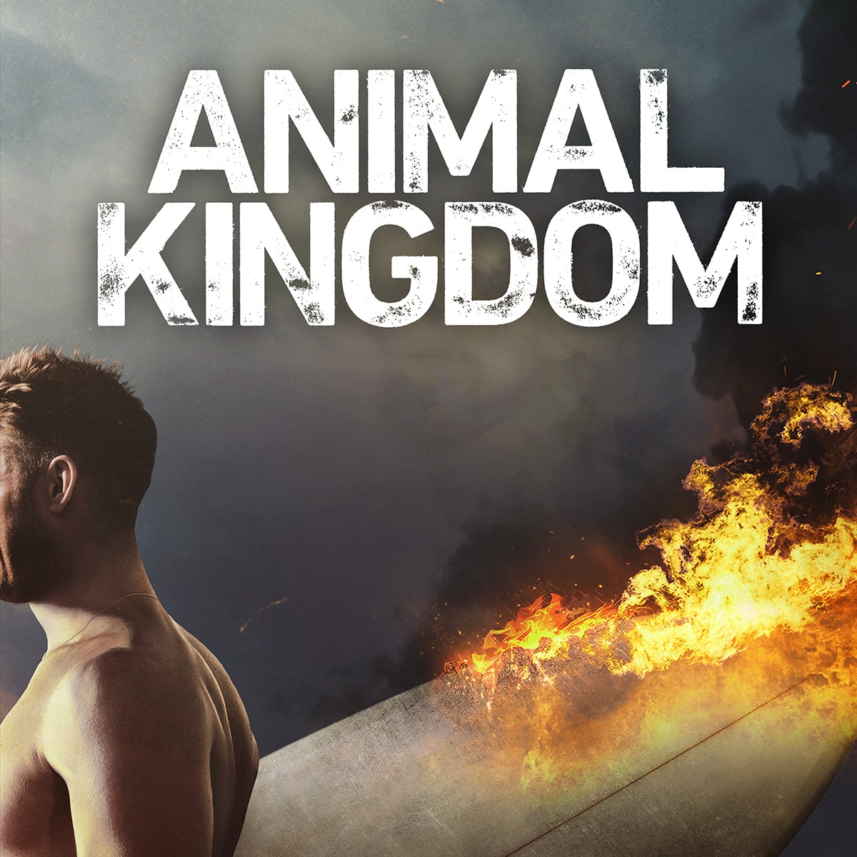 Animal Kingdom TNT Promos - Television Promos